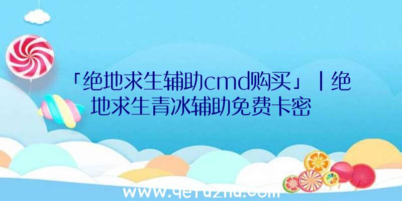 「绝地求生辅助cmd购买」|绝地求生青冰辅助免费卡密